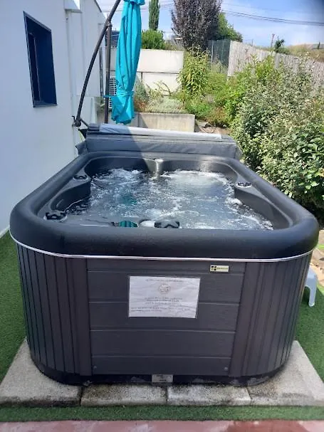 Villa Ginkgo-955 Avec Spa Privatif Albi