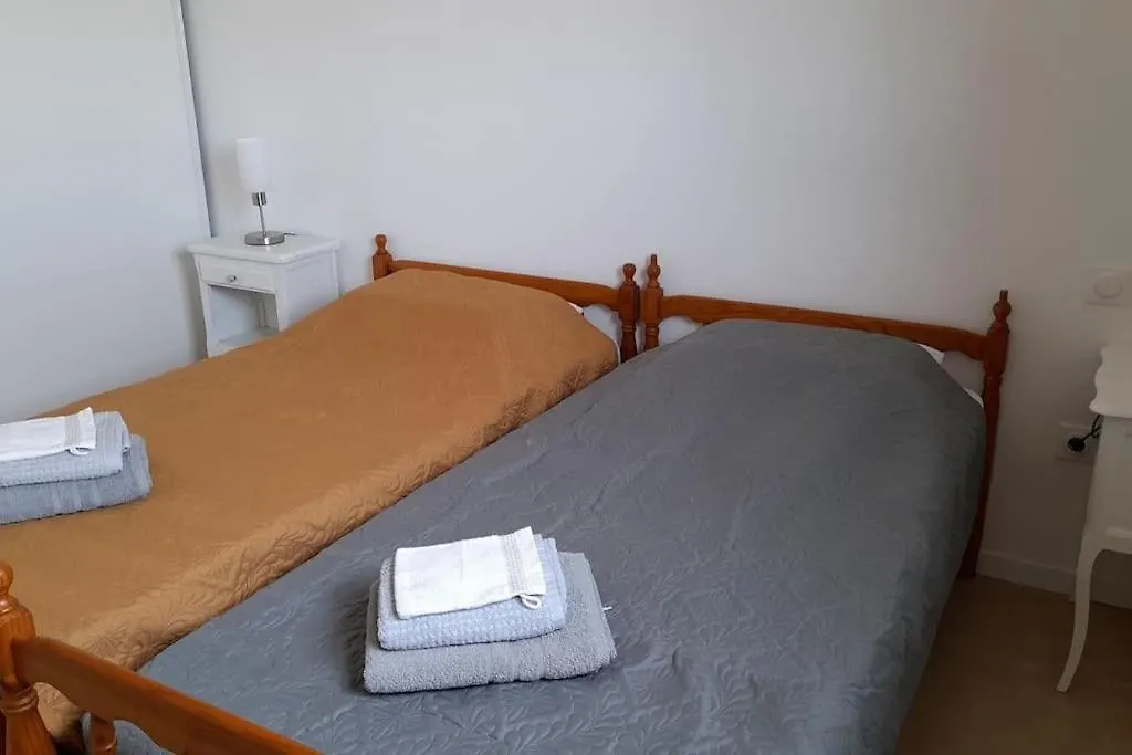 Villa Ginkgo-955 Avec Spa Privatif Albi